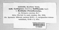 Eutypa ludibunda image